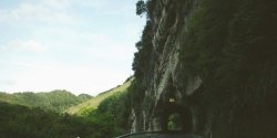 JavaScript Trivia游戏答案判断出错该怎么排查和修复