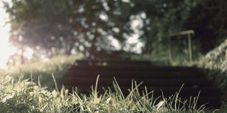 如何使用Node.js实现WebVitals2Image生成Web核心指标图？