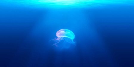 Apache 如何通过 HTTP/3 与 QUIC 加速 code-server 代理缓存？配置实战详解
