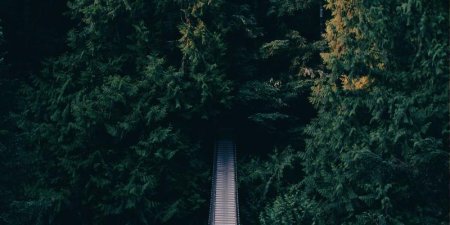 OpenLRM显存占用过大怎么办？注意力机制优化与分块处理实战指南